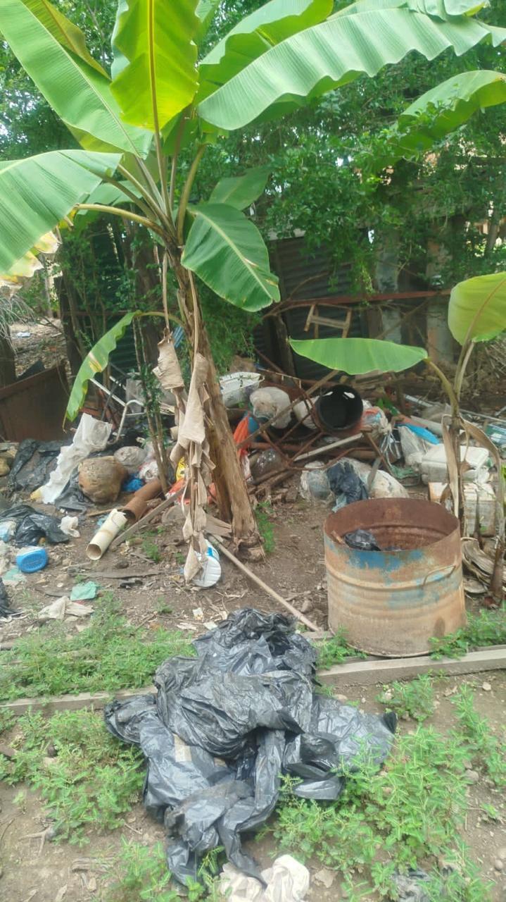 Foto 8 da matéria